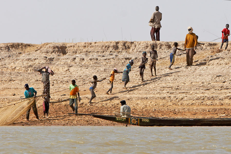 101   Bringing in the fish   Boso people